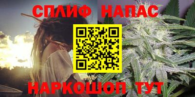 сатива Тара