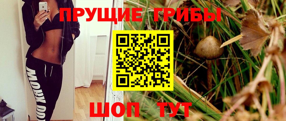 Псилоцибиновые грибы Psilocybe  Вход с VPN  Ногинск 